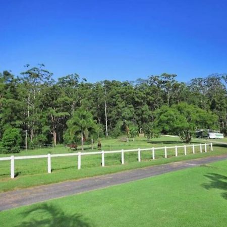 Cabin Country Retreat Paskins Farm Palmwoods 外观 照片