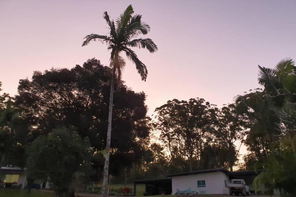 Cabin Country Retreat Paskins Farm Palmwoods 外观 照片