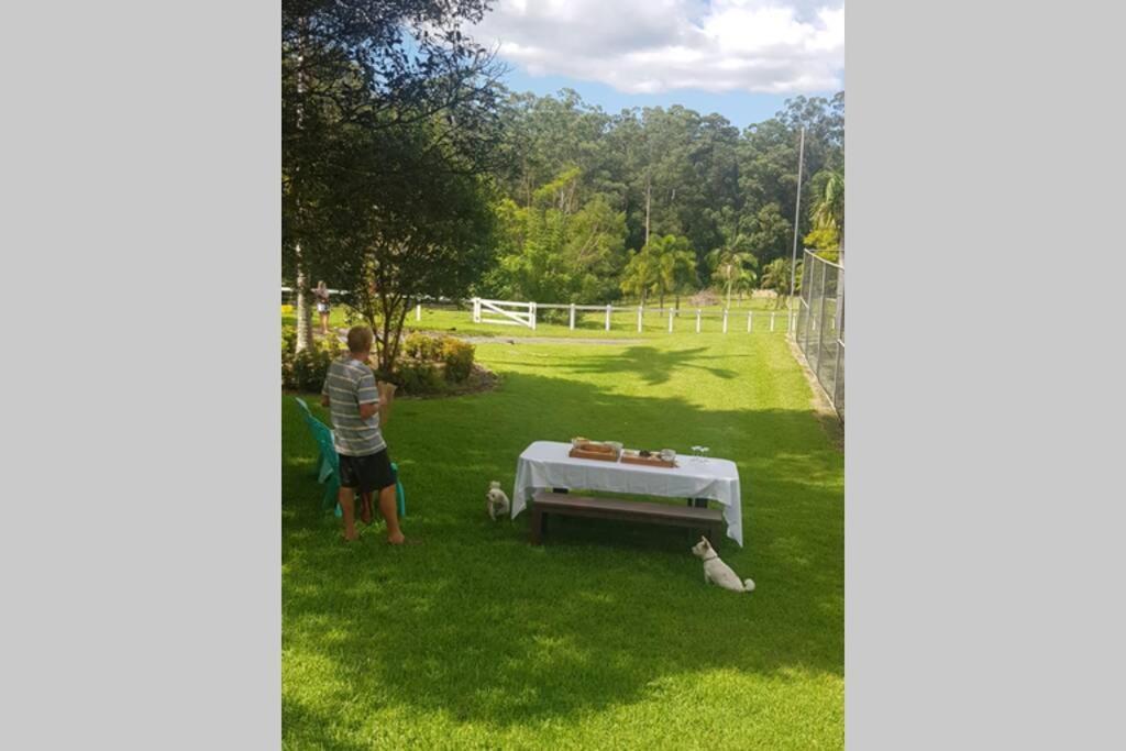 Cabin Country Retreat Paskins Farm Palmwoods 外观 照片
