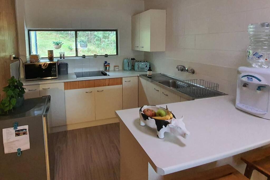 Cabin Country Retreat Paskins Farm Palmwoods 外观 照片