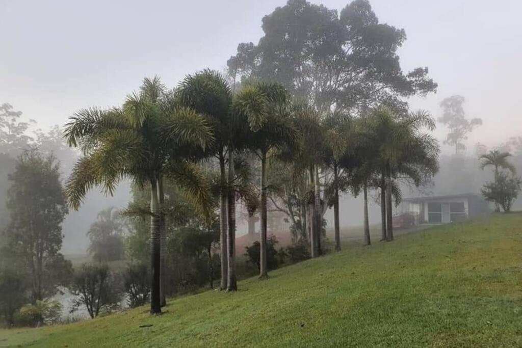 Cabin Country Retreat Paskins Farm Palmwoods 外观 照片