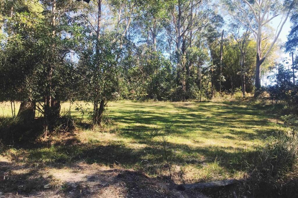 Cabin Country Retreat Paskins Farm Palmwoods 外观 照片